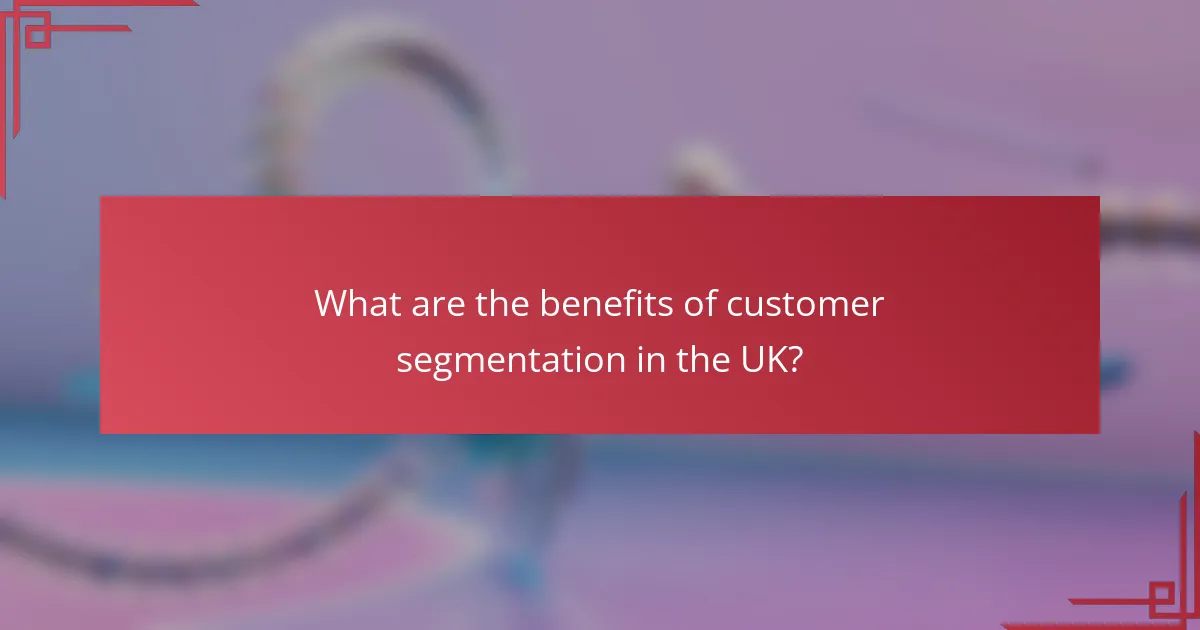 What are the benefits of customer segmentation in the UK?