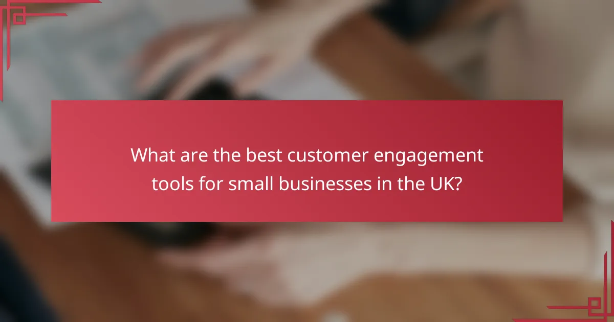 What are the best customer engagement tools for small businesses in the UK?