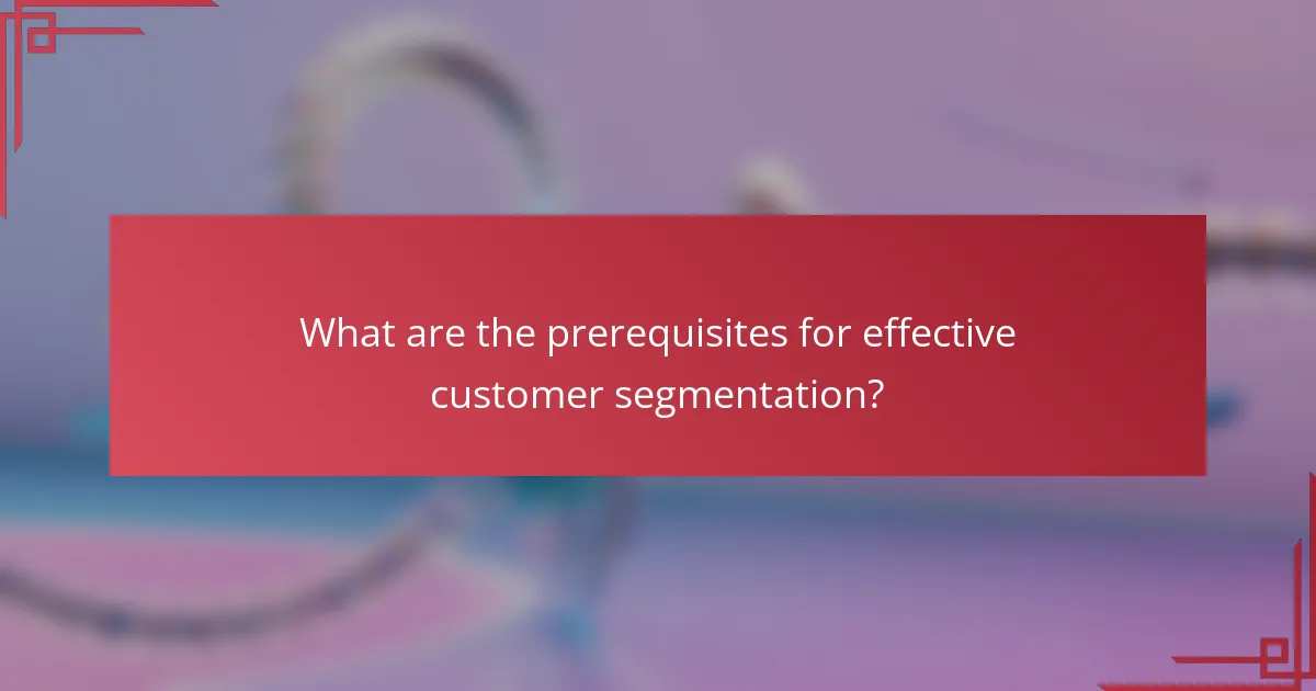 What are the prerequisites for effective customer segmentation?